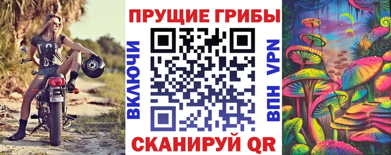 ссылка на мегу ссылка  купить закладку  Бабаево  Галлюциногенные грибы MAGIC MUSHROOMS 
